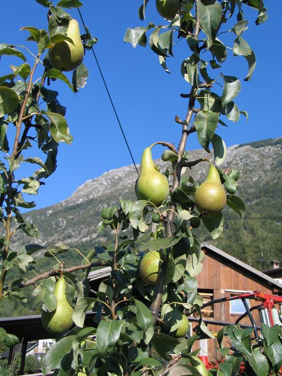 Tourist Farm Zvanc Kobarid Exterior photo